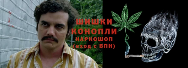 кокс Арсеньев