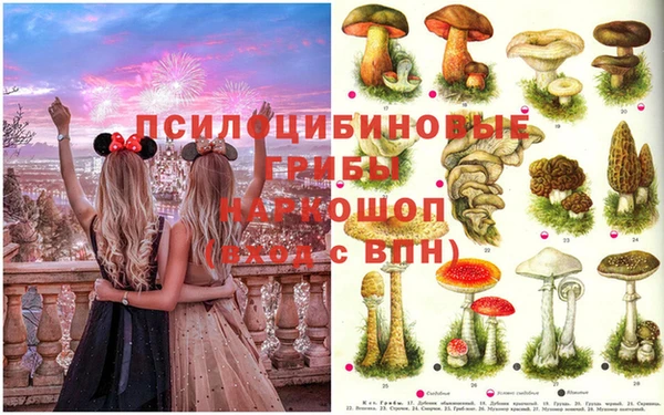 кокс Арсеньев