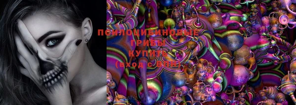 кокс Арсеньев